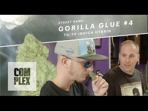 Motor City High: “Gorilla Glue #4” Marijuana Strain | Ep. 5 On Complex