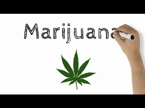 Demystifying Marijuana