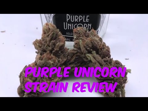Purple Unicorn Cannabis Marijuana Weed From Kiona Strain Review