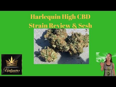 Harlequin High CBD Cannabis Strain Review