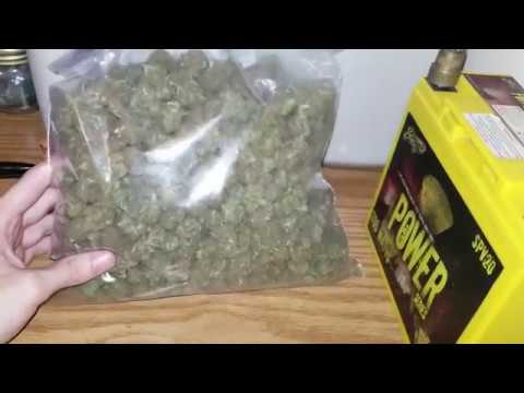 Michigan 8ball Cannabis Strain Review Pack Pickup #11