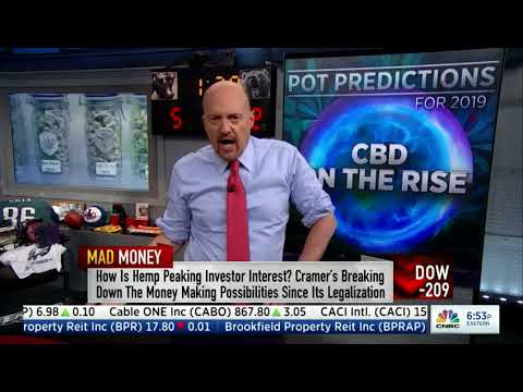 Marijuana Stocks 1-28-2019 Jim Cramer Segment