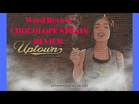 Weed Review Chocolope Cannabis Sativa Strain Review
