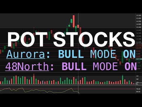 POT STOCKS | Will Aurora Keep Going UP | Big Day For NRTH