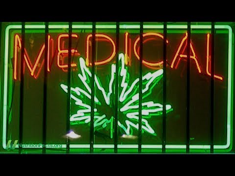 The Institute of Medicine Report on the Health Effects of Marijuana