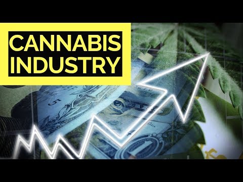 CANNABIS STOCK MARKET IS GROWING UP 🌿🌿🌿