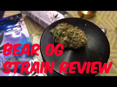 Bear OG Cannabis Marijuana Weed Strain Review