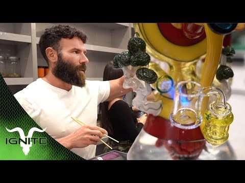 Ignite House: Dan's Intro to the Cannabis Business