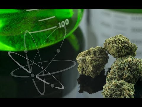 Cannabis Scientist Tells Us Why It's the Best Medicine