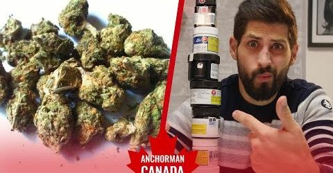 Legal Marijuana In Canada & Why People Are Pissed Off About How It's Being Sold