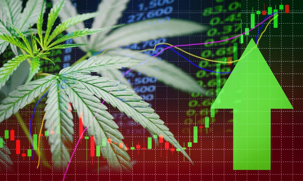 Higher Pot stock: Sundial Growers or Tilray?